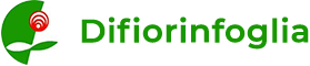 Difiorinfoglia Responsive WordPress Website for Difiorinfoglia By Brandbees.net