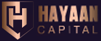 Responsive WordPress Website for Hayaan Capital By Brandbees.net