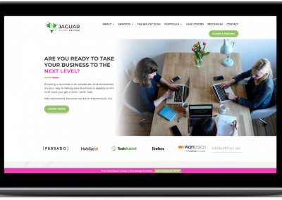 Jaguar Business Solutions