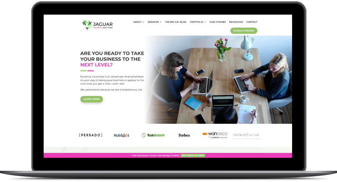 Jaguar Business Solutions