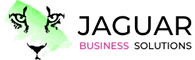 Responsive WordPress Website for Jaguar Business Solutions By Brandbees.net